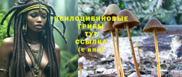 spice Белоозёрский