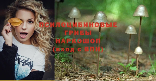 spice Белоозёрский